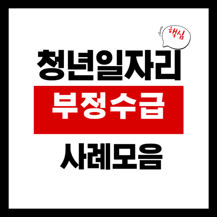 청년일자리도약장려금 부정수급
