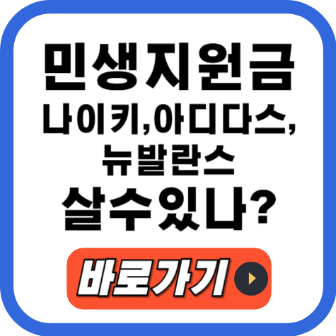 민생지원금 나이키