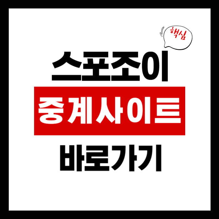 스포조이 라이브 스코어