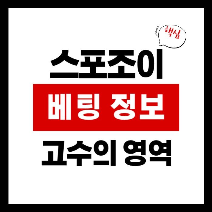 스포조이 라이브 스코어