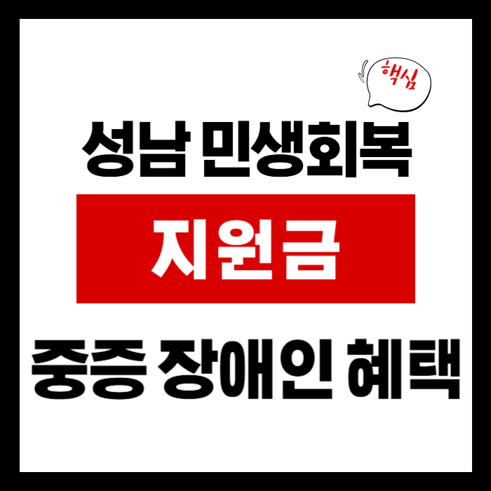 성남 민생회복지원금