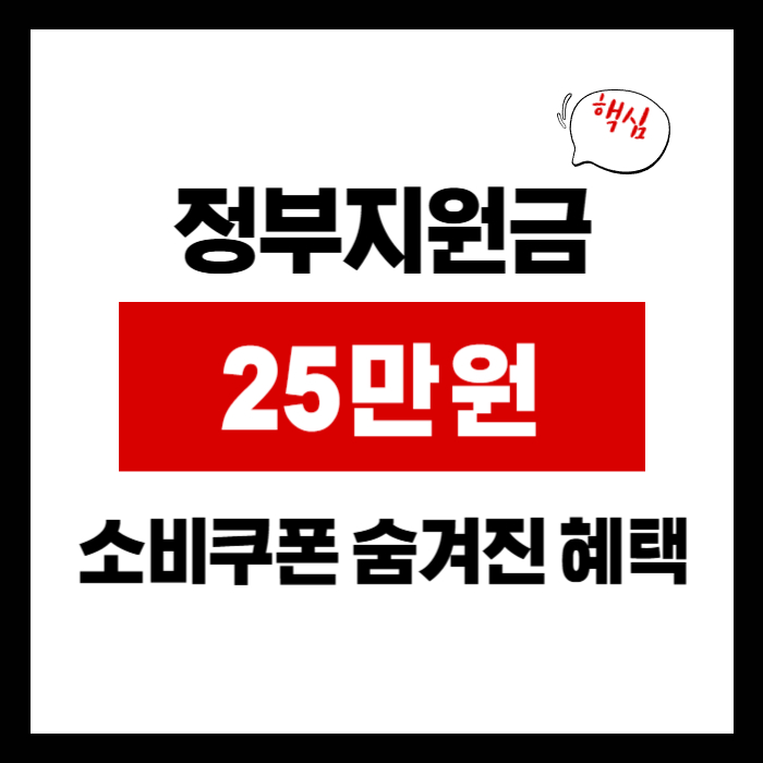 민생회복 소비쿠폰