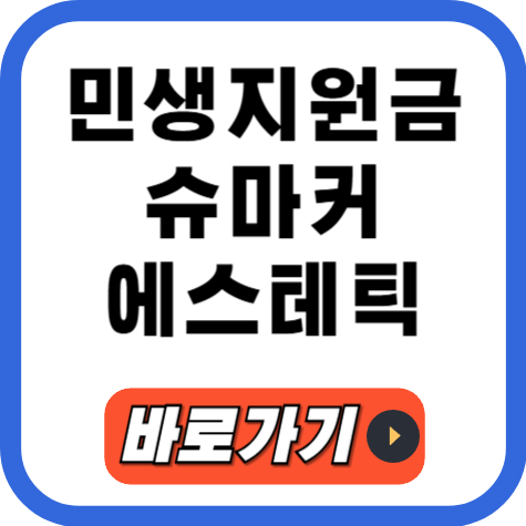 민생지원금 슈마커