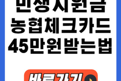 민생지원금 농협체크카드 사용방법, NH Pay앱 45만원 받는법