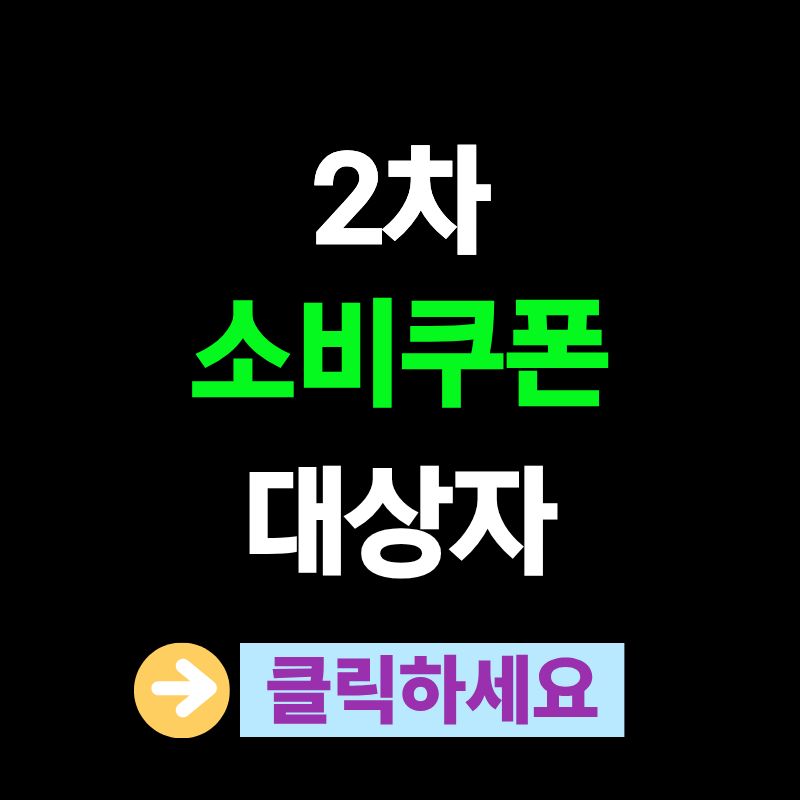 2차 소비쿠폰 대상자