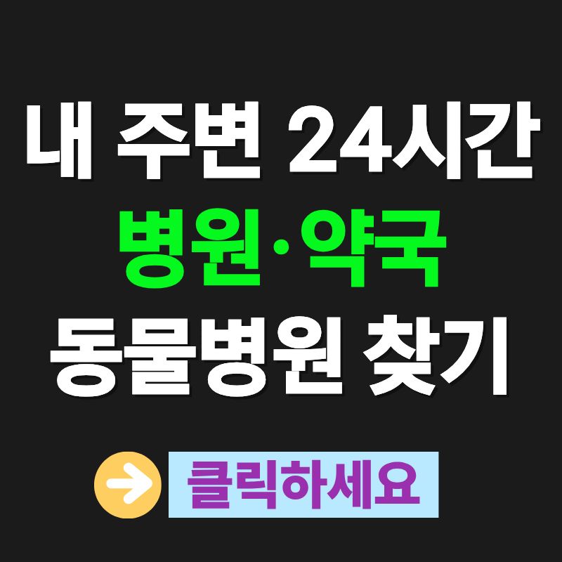 내 주변 24시간 병원