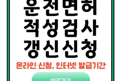 운전면허적성검사 갱신 온라인 신청방법, 인터넷 발급기간 준비물 과태료 폭탄