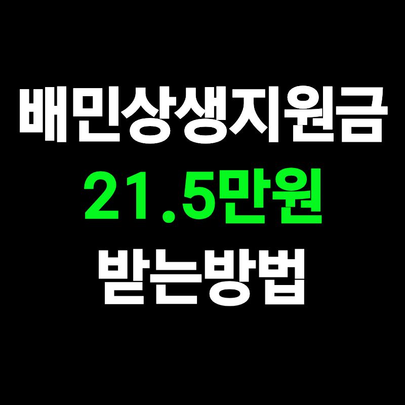 배민상생지원금