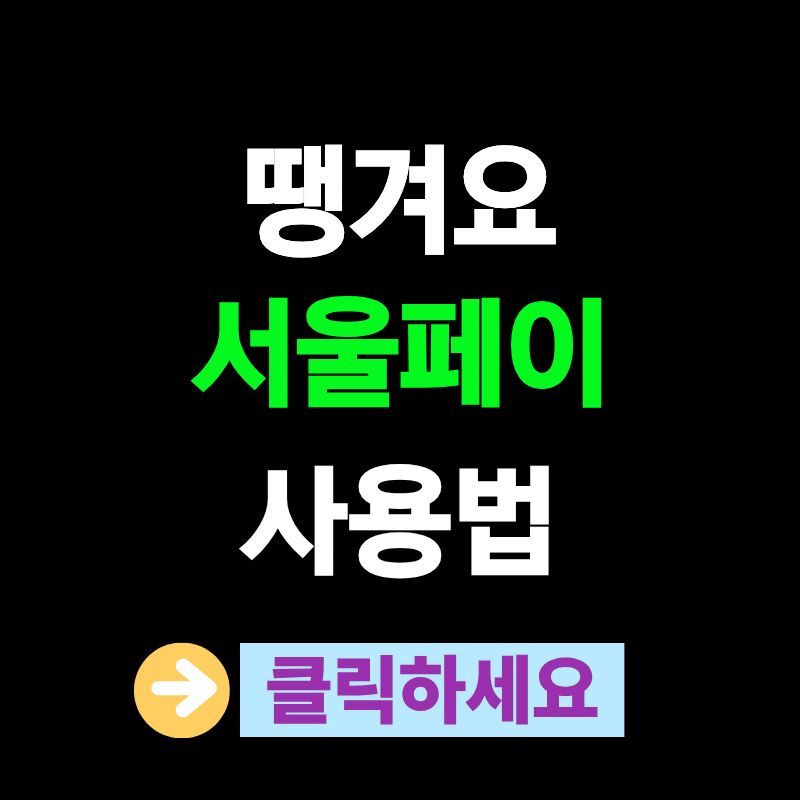 땡겨요 서울페이 사용법