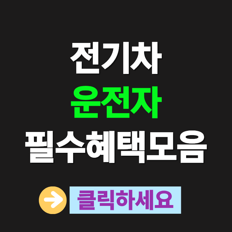 전기차 운전자 필수 혜택