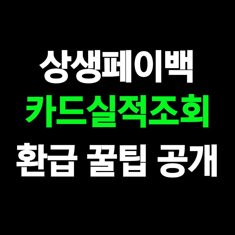 상생페이백 카드 실적 조회