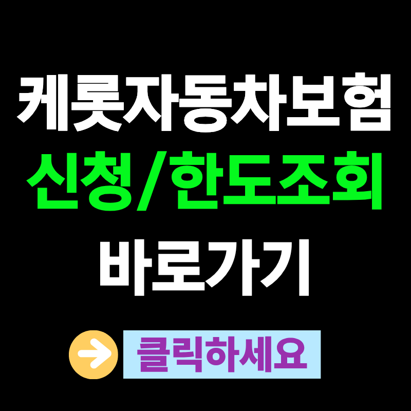 케롯자동차보험