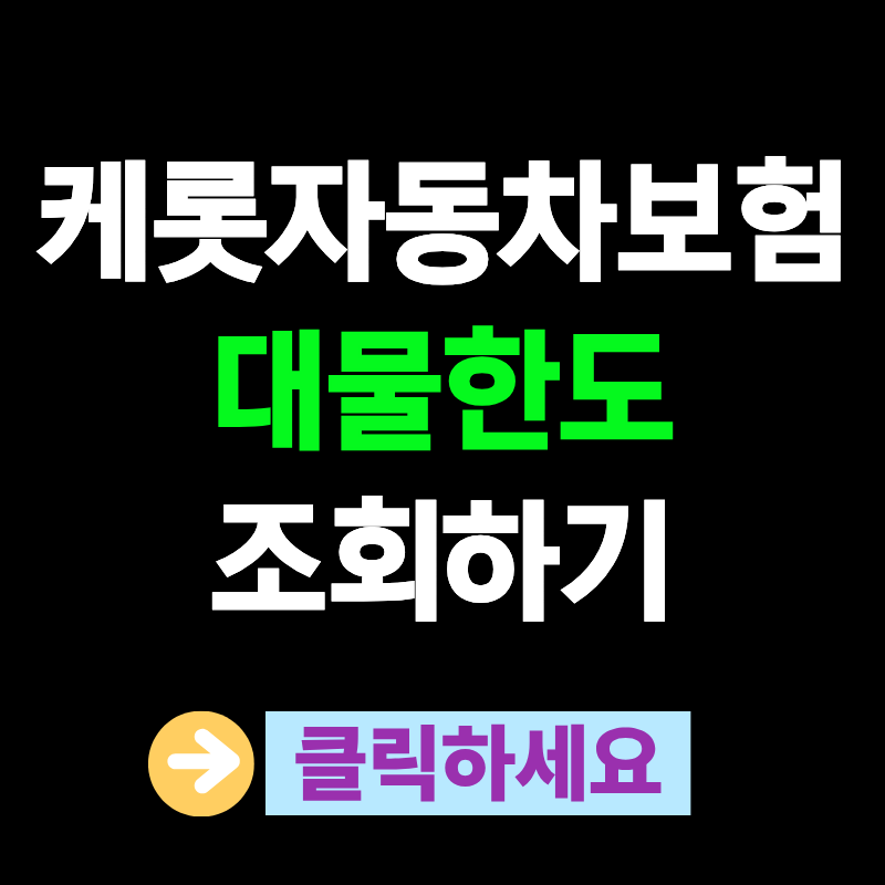 케롯자동차보험