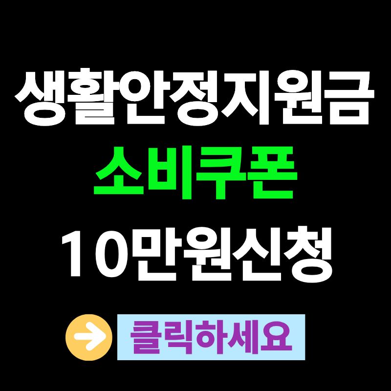 생활안정지원금 소비쿠폰