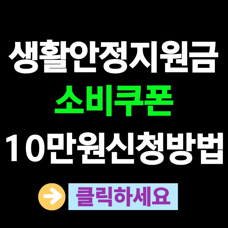 생활안정지원금 소비쿠폰 10만원