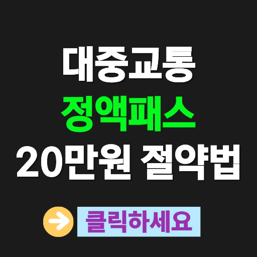 대중교통 정액패스