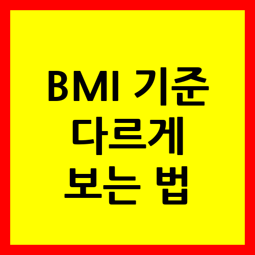 BMI 기준