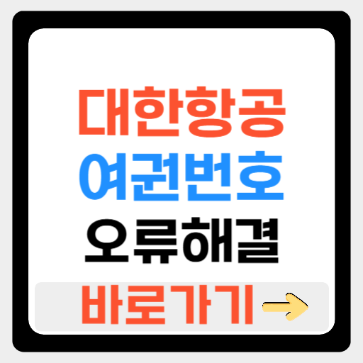 대한항공 여권번호