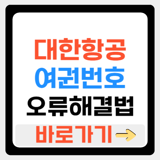 대한항공 여권번호 오류