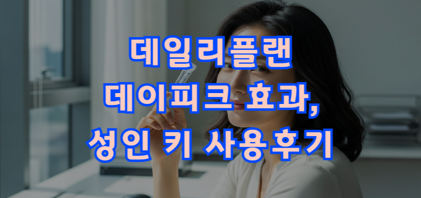 데일리플랜 데이피크 키 후기