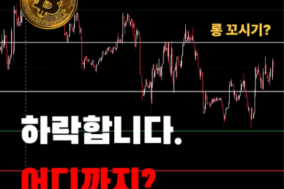 비트코인 이중 지그재그(WXY) 파동 분석과 피보나치 반등 타점 (정밀 대응 전략)