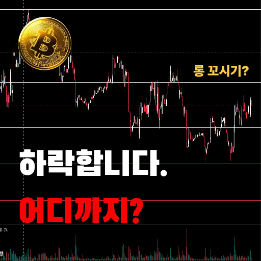 비트코인 하락