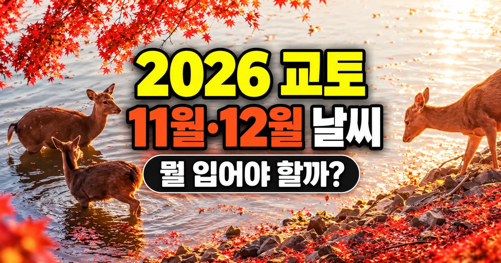 2026 교토 11월 12월 날씨 옷차림 단풍여행